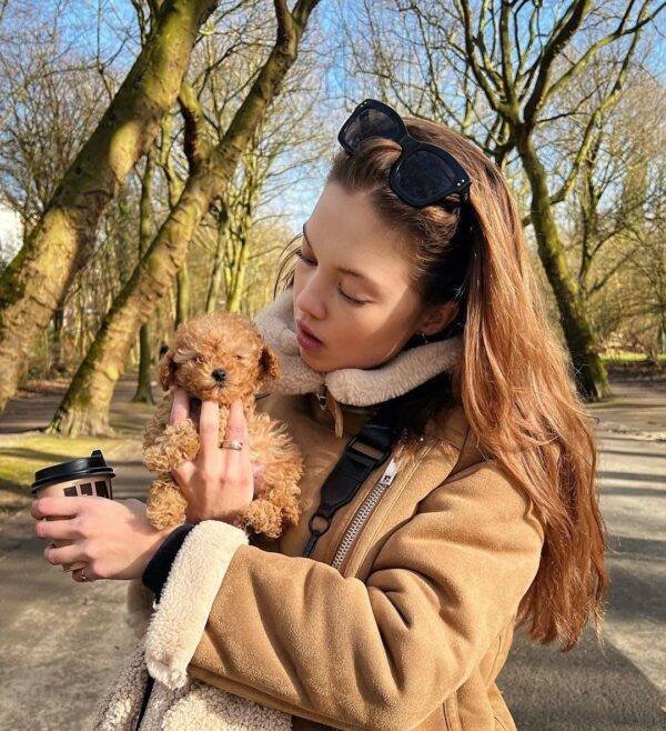 Murfie-Male Teacup Poodle Puppy