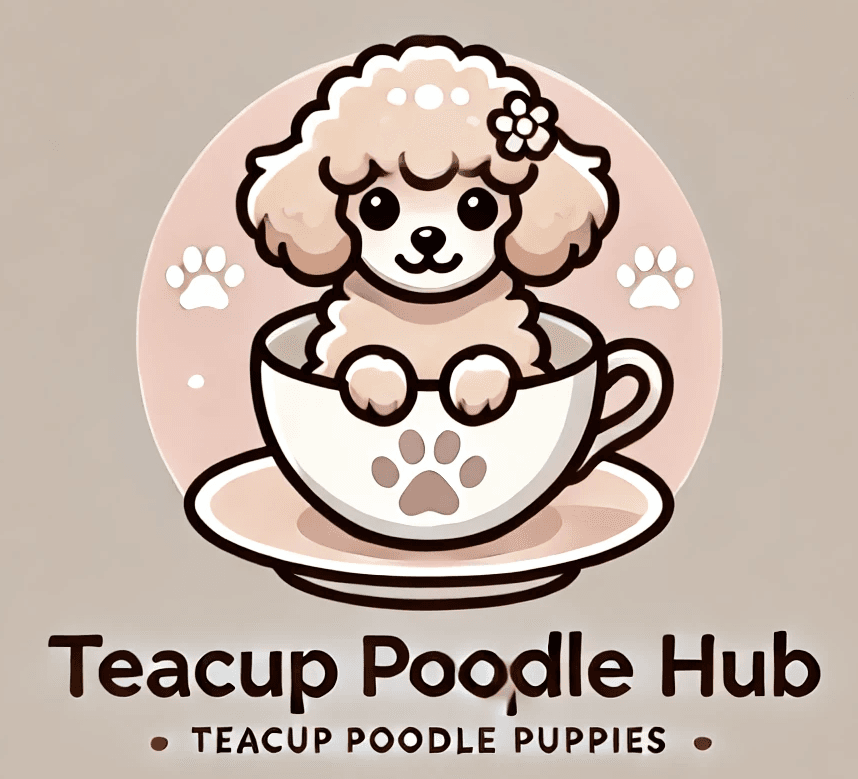 Teacup Poodle Hub